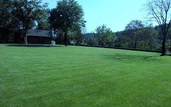 Seçil Sabahattin Yaman Evi